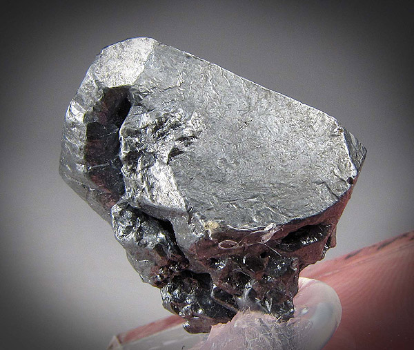 Gray Acanthite Crystal, Fresnillo, Zacatecas, Mexico  