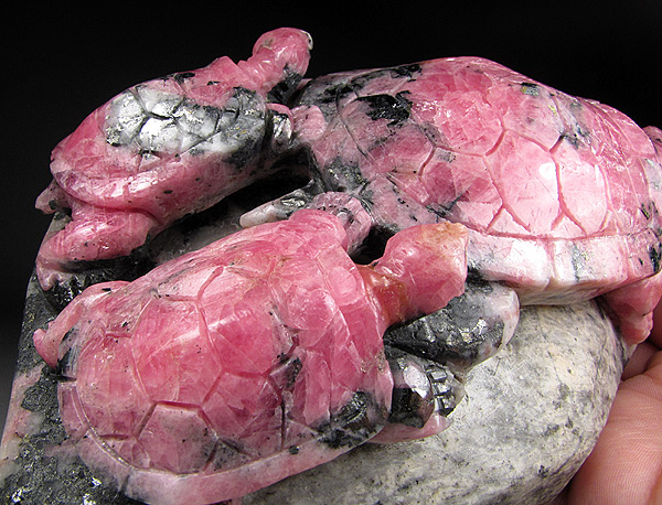 Carved Rhodochrosite Turtles, Sweet Home Mine, Colorado  