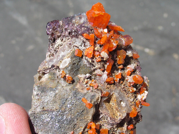 Wulfenite, Red Cloud Mine, Arizona  